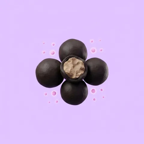 Black peppercorns illustration